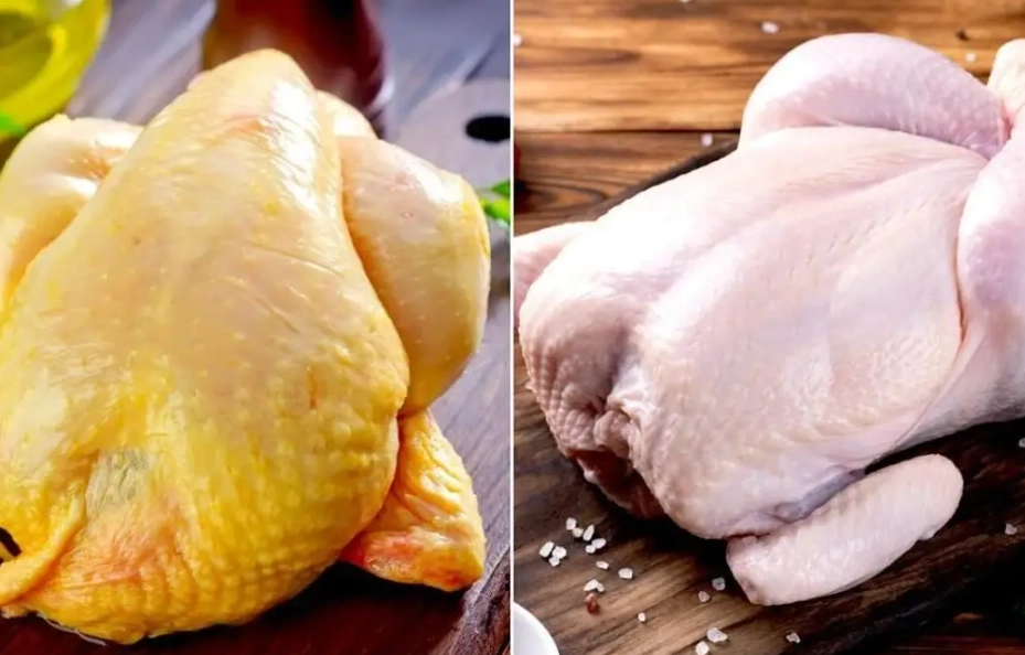 chicken breast vs thigh chicken breast vs thigh