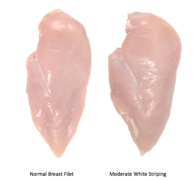 white meat chicken cuts